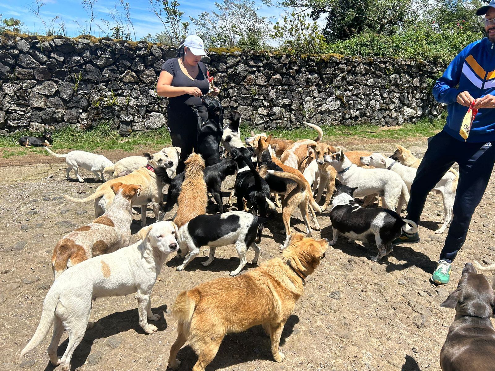 Asociación Animales de Asís CR.