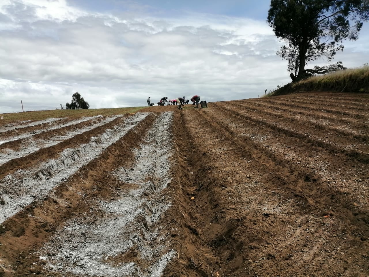 Agricultores alzan la voz para manifestar su preocupación ante posible ingreso del país al Acuerdo Transpacífico.