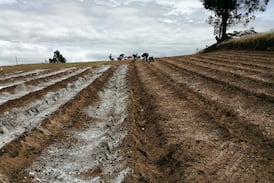 “¡No nos venda!”: Líder agricultor alza la voz ante acuerdo que amenaza a la producción agrícola nacional y lanza advertencia