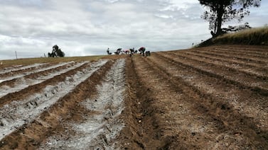 “¡No nos venda!”: Líder agricultor alza la voz ante acuerdo que amenaza a la producción agrícola nacional y lanza advertencia