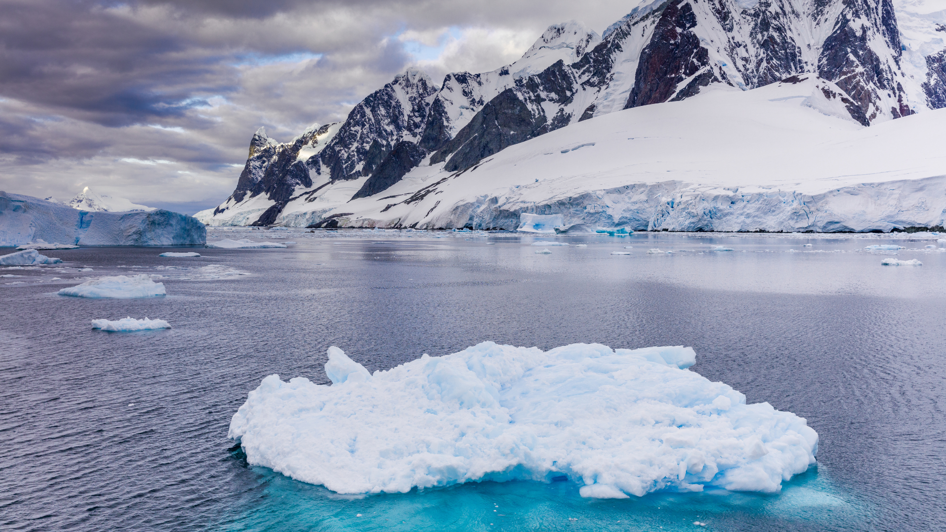 Investigadores estudian el derretimiento del glaciar Thwaites desde su base para mejorar las proyecciones del aumento del nivel del mar.