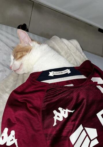 Greivin Morgan, modelo.