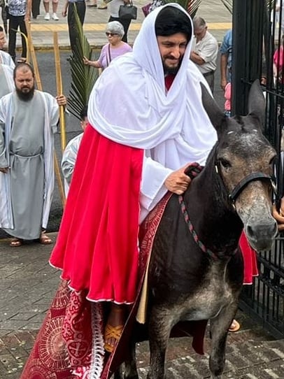 Milo es un burrito que vive en San Carlos y ese 2026 cumplirá 8 años de cargar a Jesús en la procesión del Domingo de Ramos de Semana Santa. El dueño se llama Mauricio Cedeño Quesada.