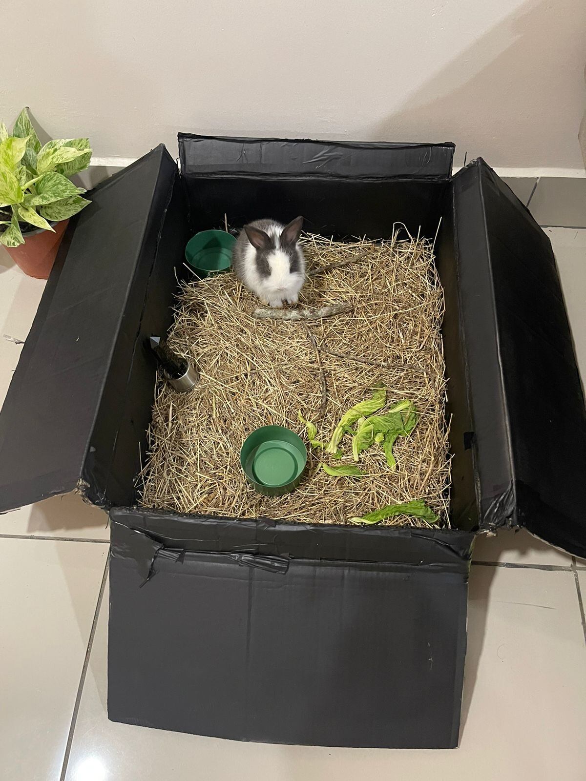 Defensor Henrique Moura, jugador de Pérez Zeledón. Cortesía.