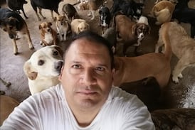 Sacerdote costarricense vendió el carro para construir un refugio para perros, ¡no va a creer cuántos tiene!