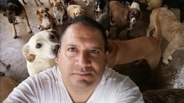 Sacerdote costarricense vendió el carro para construir un refugio para perros, ¡no va a creer cuántos tiene!
