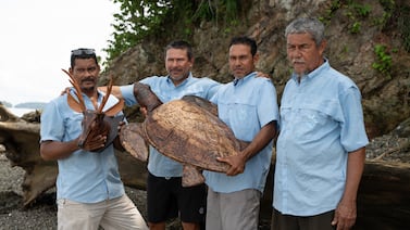Pescadores artesanales de Isla Venado encontraron en la madera muerta una nueva forma de vida