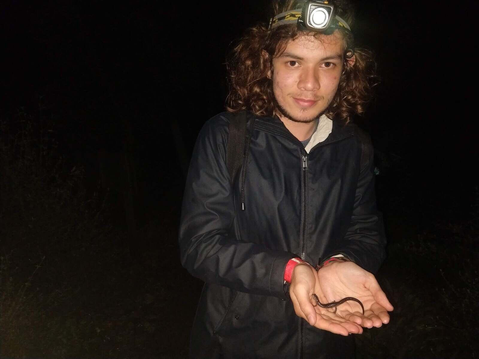 Descubren una salamandra con manchas doradas exclusiva del Parque Nacional Chirripó. En la foto, Jeremy Klank, biólogo y estudiante de la maestría en Biología de la Universidad de Costa Rica