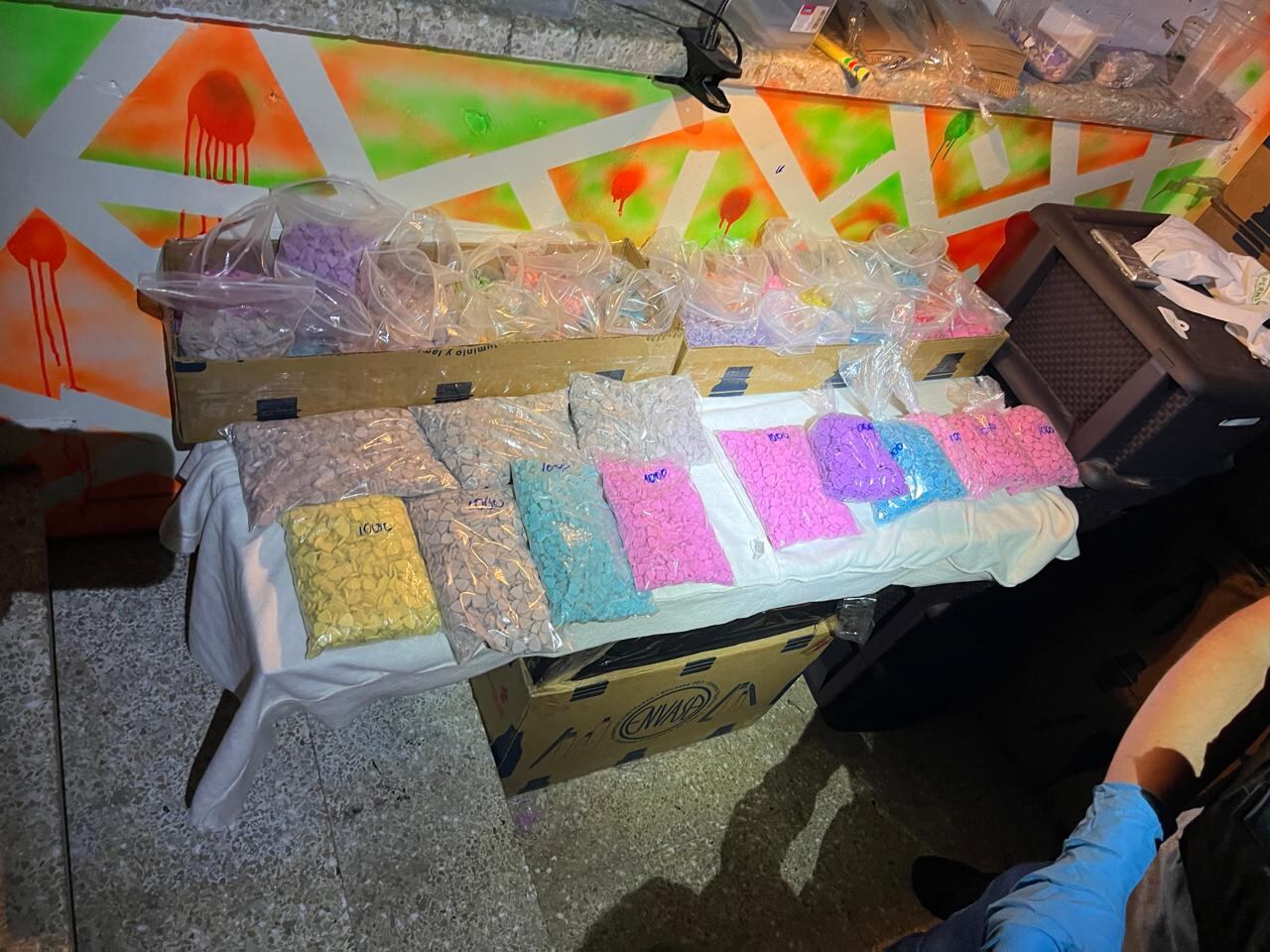 20.000 dosis de fentanilo decomisado por la PCD en Tierra Dominicana, San José, el 4 de febrero.