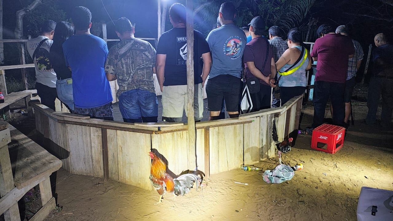 Intervienen peleas de gallos en Nicoya. Foto MSP.