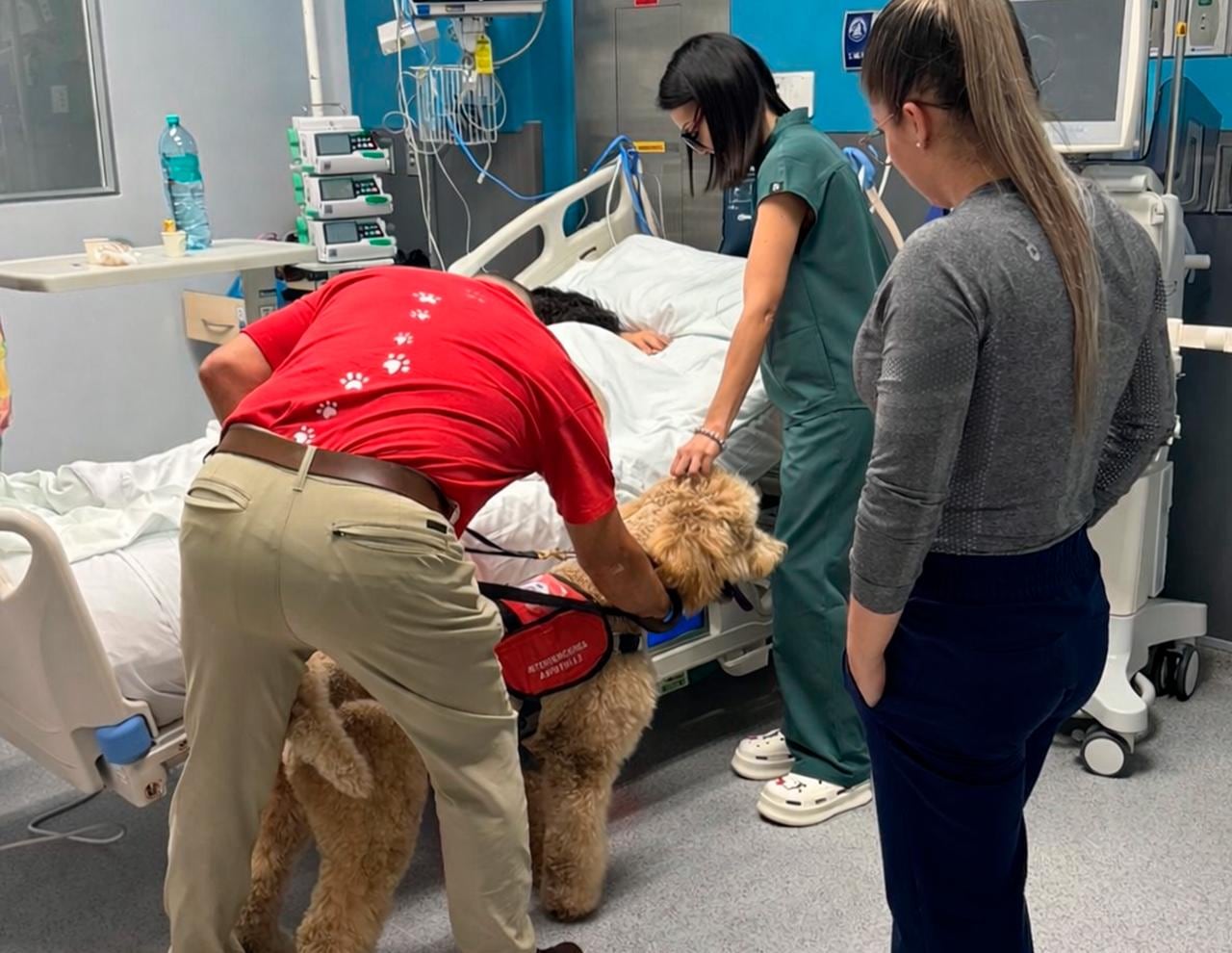 Terapia con perros en el hospital Monseñor Sanabria, en Puntarenas