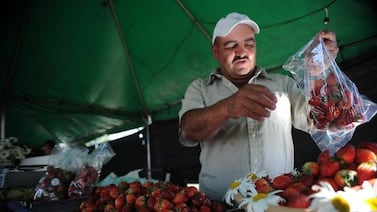 ¿Sin planes este fin de semana? La Feria Nacional de la Fresa lo espera con comida, música y diversión