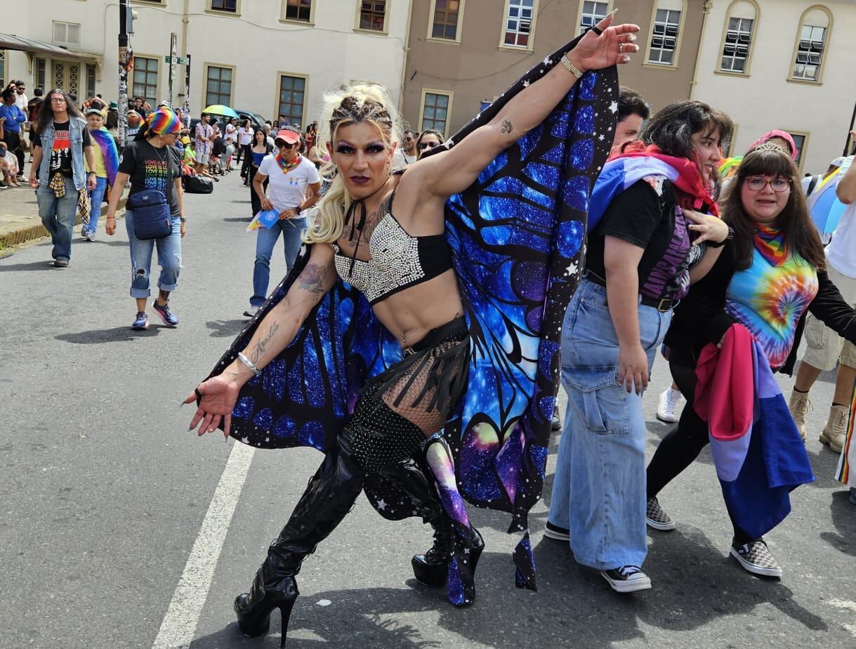 Marcha de la diversidad