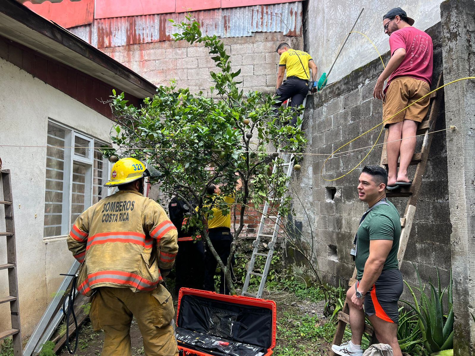 Bomberos y hasta ingenieros luchan por salvar a gatito que lleva días atrapado
