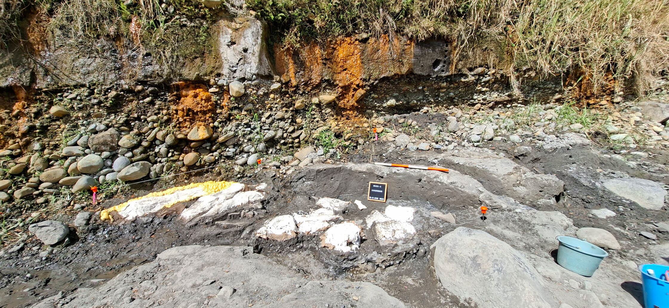 Hallazgo de mastodonte en Cartago