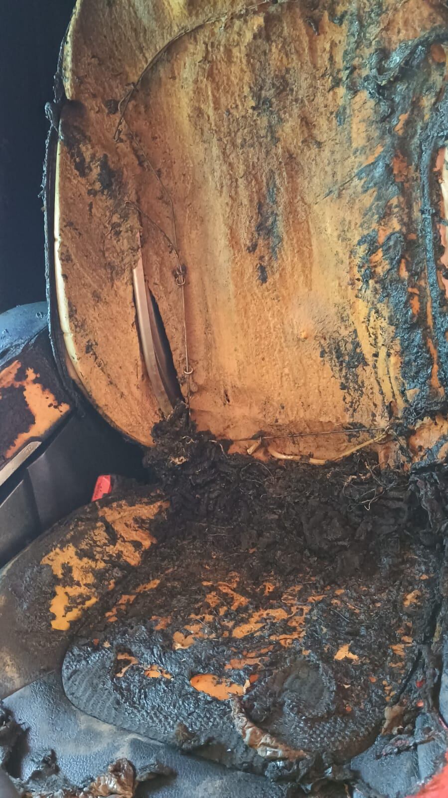 Matrimonio de adultos mayores agredidos en Santa Cruz. Foto cortesía.