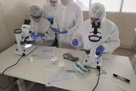 Aproveche estas becas que sí lo ponen a trabajar rápido y sin pagar un cinco