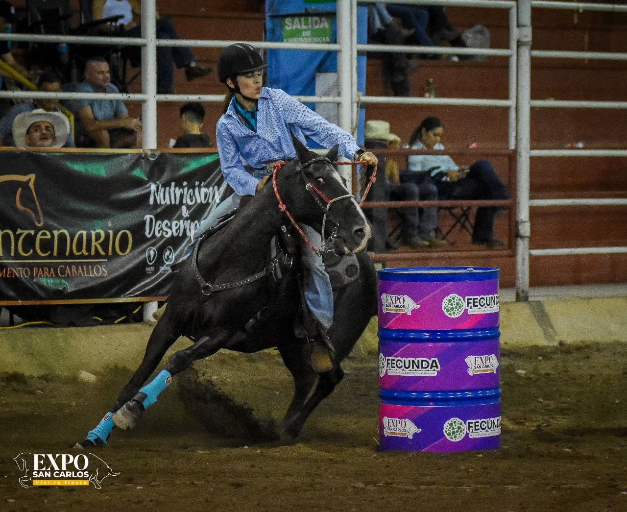 Morena y es una yegua criolla costarricense que desde hace siete años se convirtió en el centro de la vida de María Angelly García Chacón, una joven sancarleña de 19 años quien ahora no imagina su mundo sin ella.
