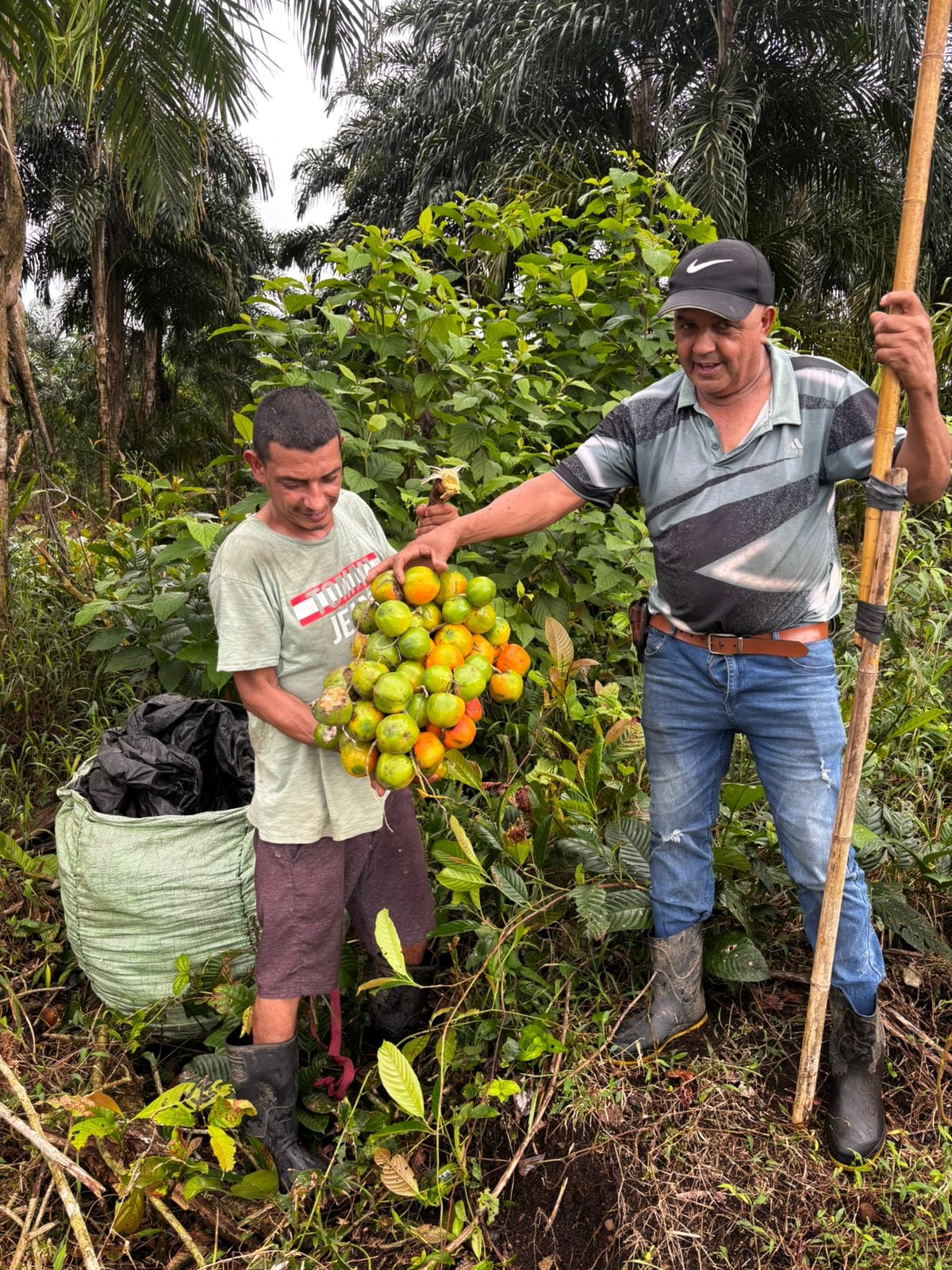 David Sánchez Corrales, de 67 años, murió al ser atropellado por una moto en Corina de Matina, Limón. Foto: Cortesía David Sánchez Álvarez para La Teja