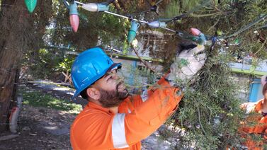 Trabajador que adorna el árbol del hospital de Niños: “Cada bombillita es puesta con mucho amor”