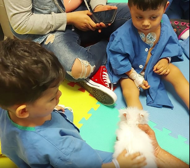 Los internados en el hospital de Heredia jugaron con conejos