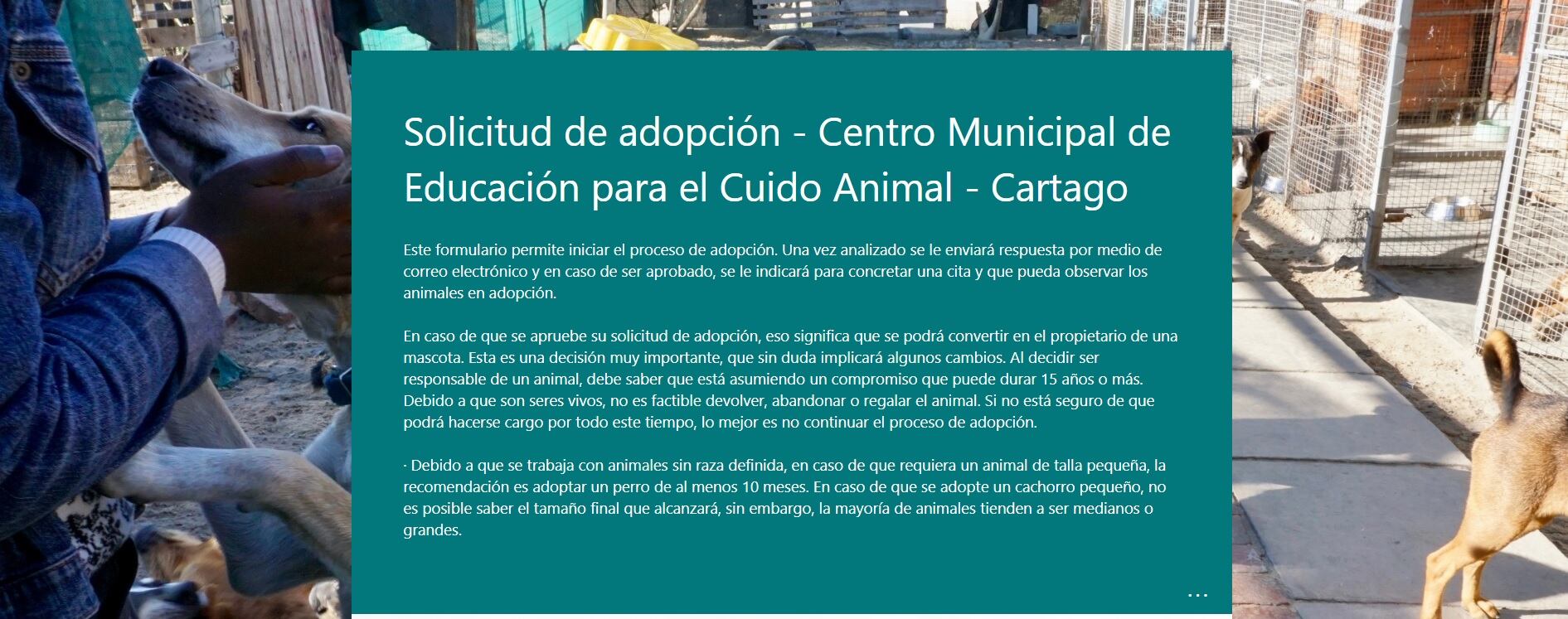Por más que se advirtió, siempre hubo muchos mal amansados que no hicieron caso y se fueron a la romería con su perrito, por eso, las autoridades de la municipalidad de Cartago, confirman que en total hubo 22 perritos rescatados