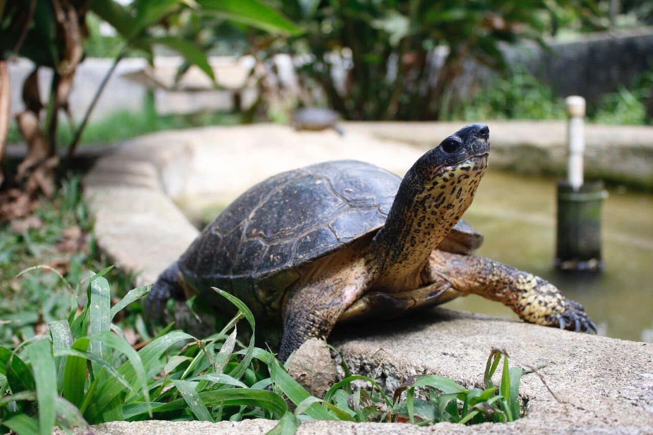 Niños disfrutarán sus vacaciones entre naturaleza, talleres y diversión gratis en Cartago.