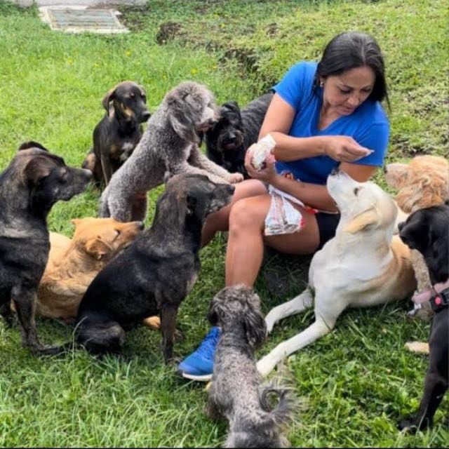 Coco venció una grave enfermedad que casi lo mata, gracias al amor de Andrea Prado, quien además mantiene a 28 perros rescatados y ahora necesita ayuda para seguir adelante