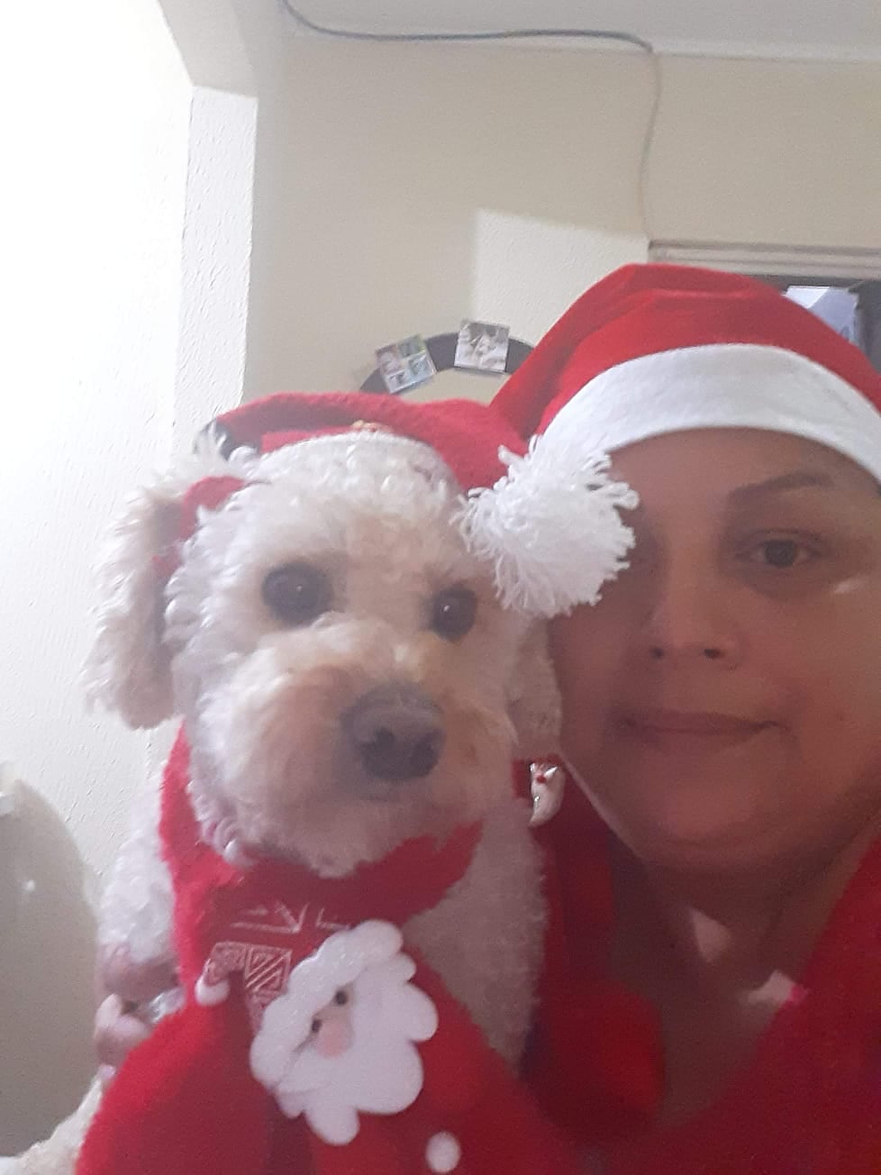 Doña Yahaira Sequeira vive en La Uruca y por piedras en la vesícula tiene 7 días internada, estaba triste, pero cuando llegaron los perritos se animó un montón ya que recordó a su perrito Shijam