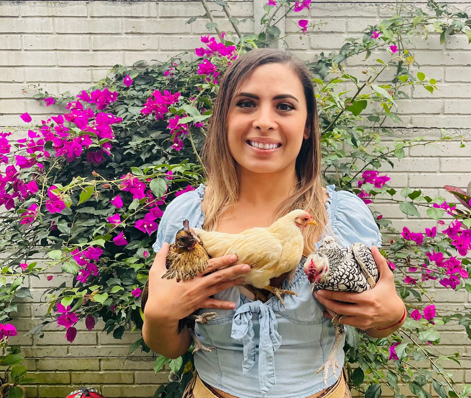 El hogar de María Alejandra Ulloa Madriz, una maestra de preescolar de 35 años, y su esposo Yordan Gómez vive rodeado de amor de tres gallinas, un perro, un gato y dos conejos.