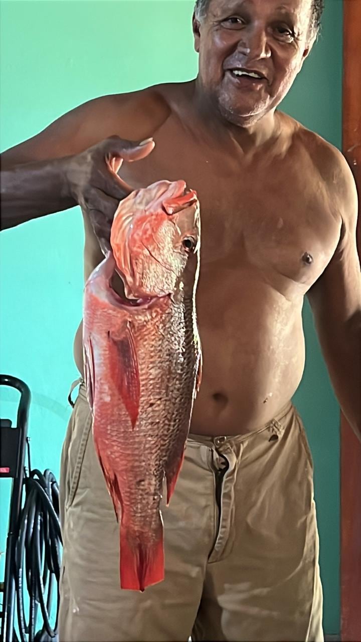 Pescador Mario Carrillo, novelón.