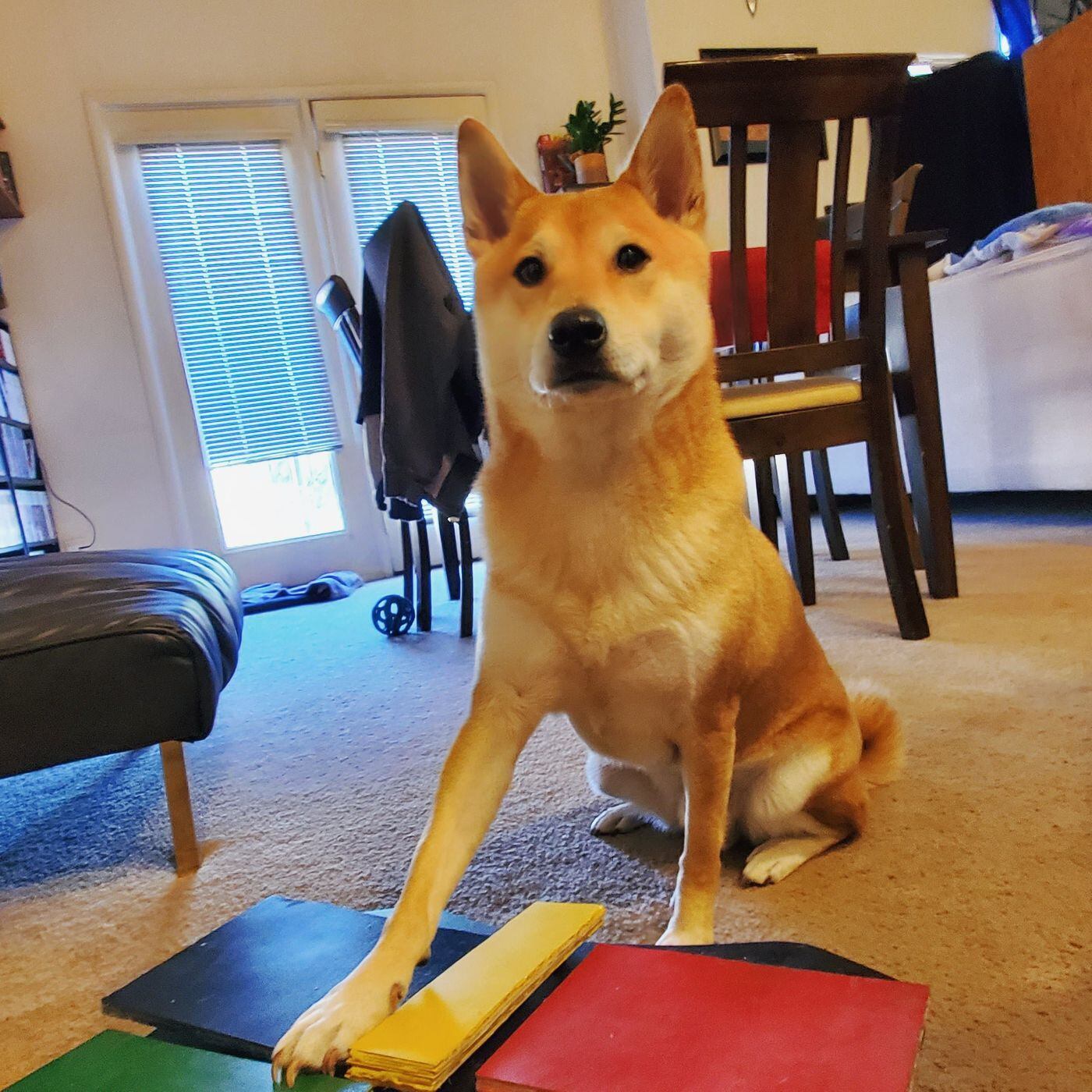 Peanut Butter aprendió desde pequeño a utilizar un control que le permite jugar videojuegos. Crédito: Awesome Games Done Quick.