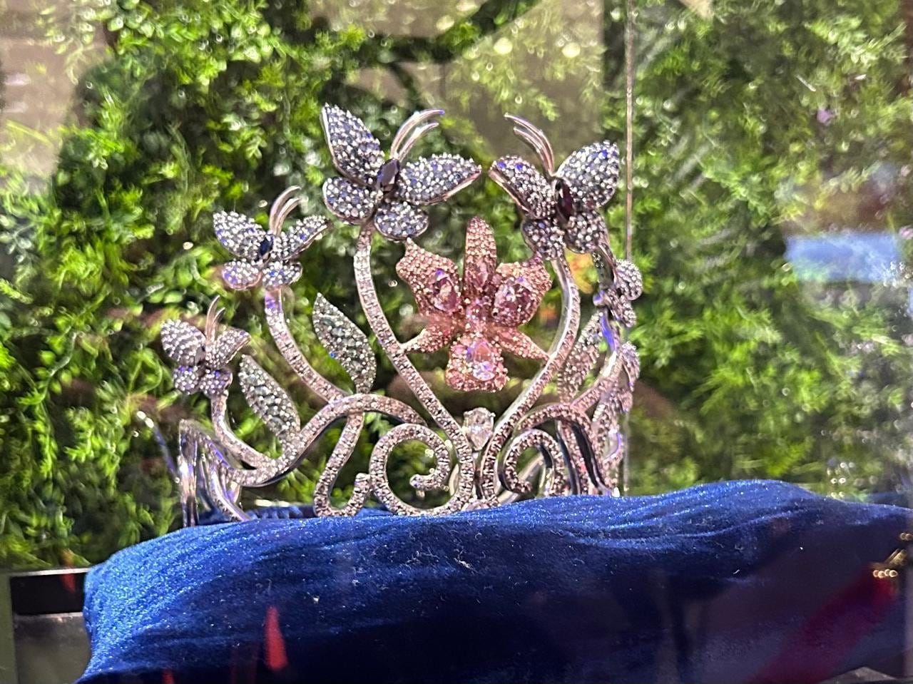 Miss Universo Costa Rica 2024.