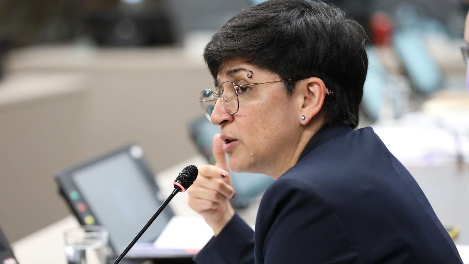 En la imagen se observa a la diputada Rocío Alfaro durante una comisión legislativa en el 2023.