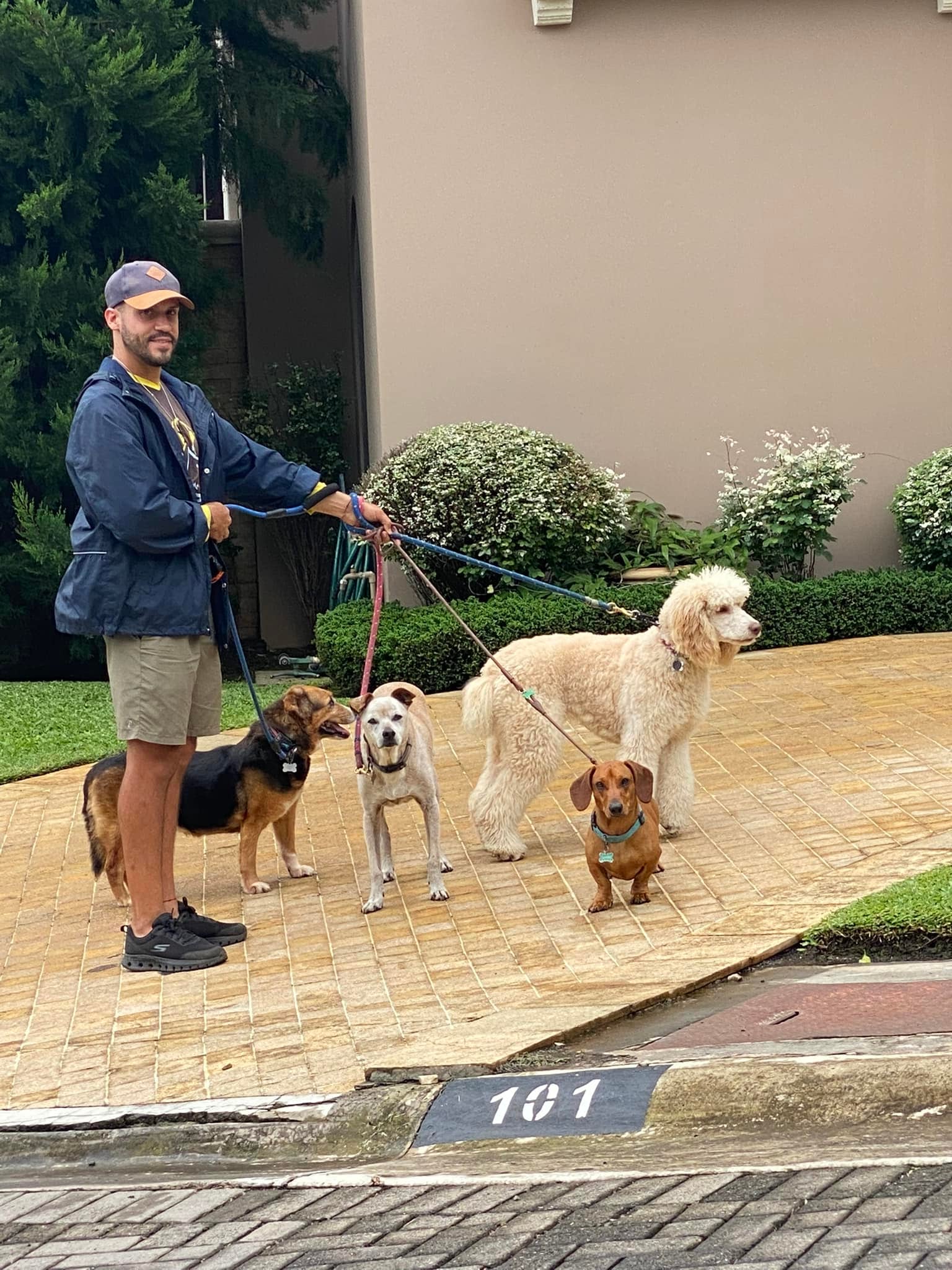 Posiblemente el zaguatico más viejo de todo el país vive en Santa Ana, le han puesto tres nombres, tiene 27 años de edad y esta muy bien de salud como para pensar que pronto podría fallecer. En la foto, Arnoldo Valverde, el papá humano de Nono.