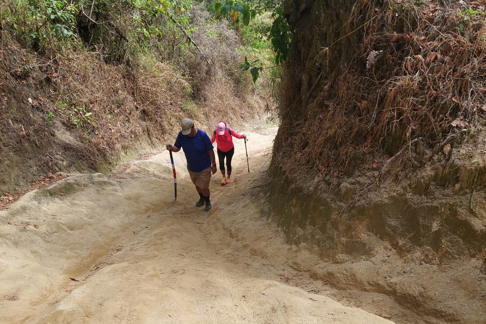 Recorra los bosques y senderos de Aserrí y conozca su historia en cada paso.