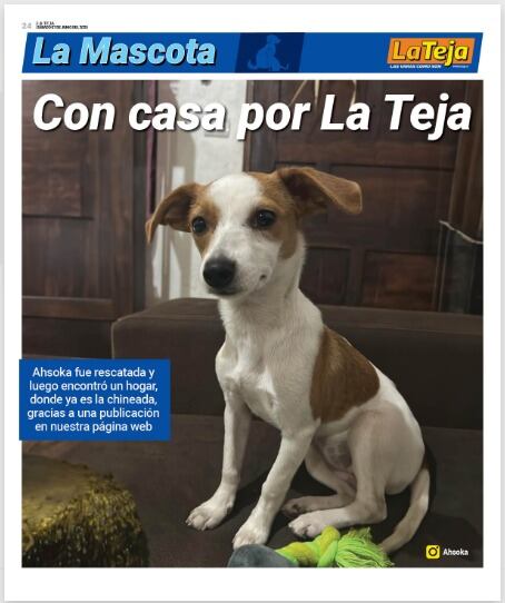 Mascotas La Teja.