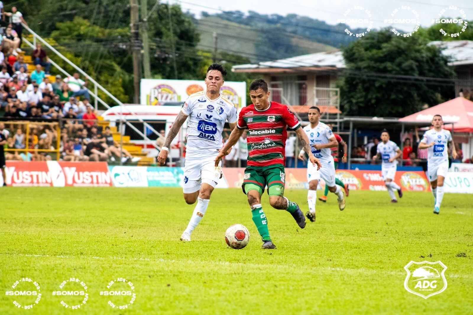 Guanacasteca 1-0 Cartaginés. Prensa ADG.