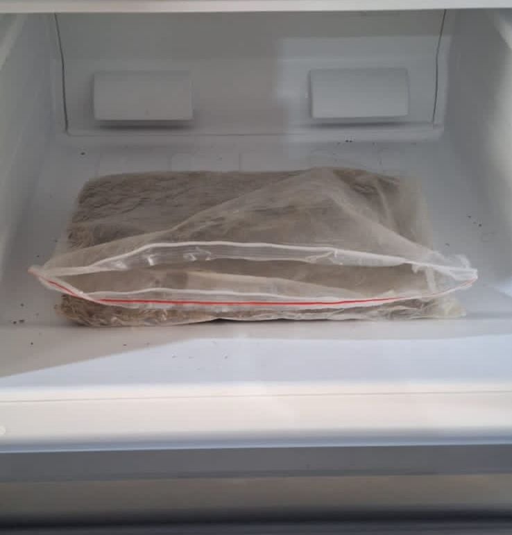 El OIJ realizó seis allanamientos para desmantelar el supuesto grupo narco.