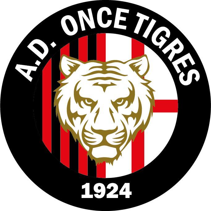 El Once Tigres, un equipo de barrio que cumplirá 100 años. Tienen edificio sede, ligas menores y equipo de veteranos. Lo único que no tienen son deudas.