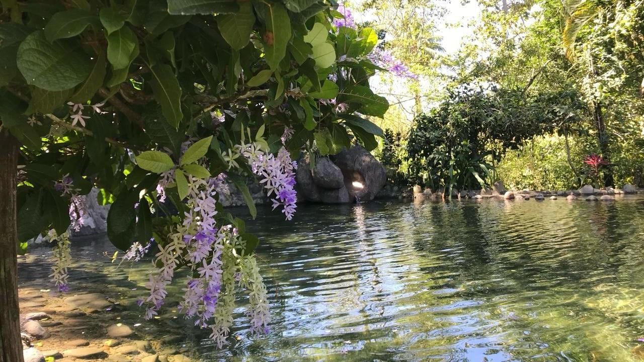 Este bonito lugar se ubica 100 metros Oeste del Centro Penal, en la Marina de San Carlos.