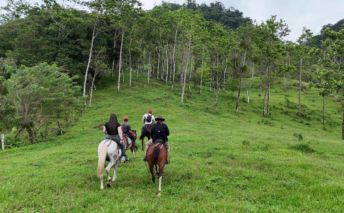 BIJAGUA / Tiempo Libre