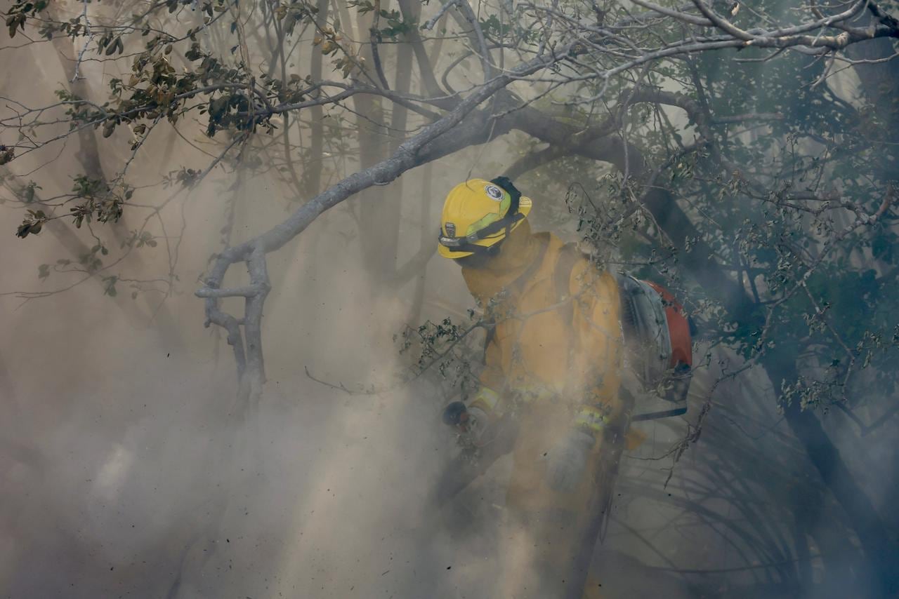 Una tortuga que intentaba escapar de las llamas se convirtió en uno de los rostros más impactantes de la emergencia que enfrenta el Parque Nacional Palo Verde, en Guanacaste. Foto: Bomberos