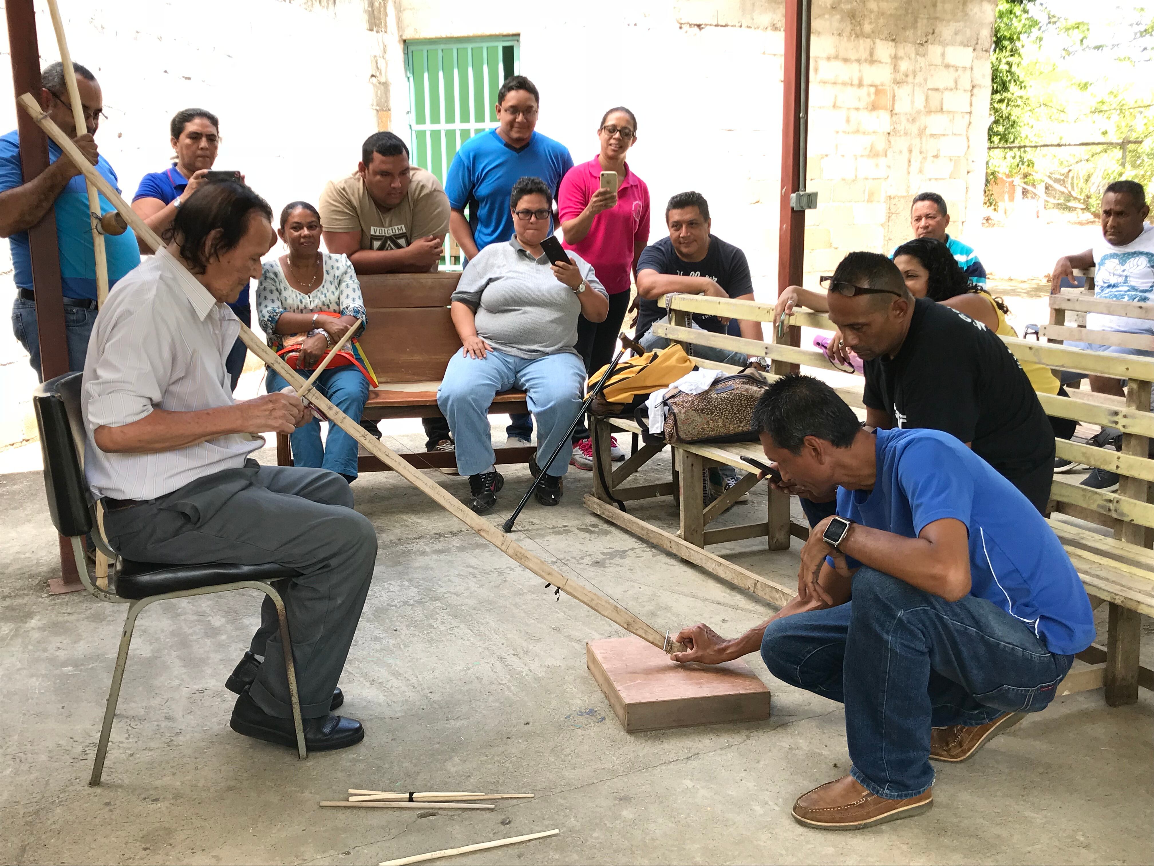 El quijongo guanacasteco goza de buena salud