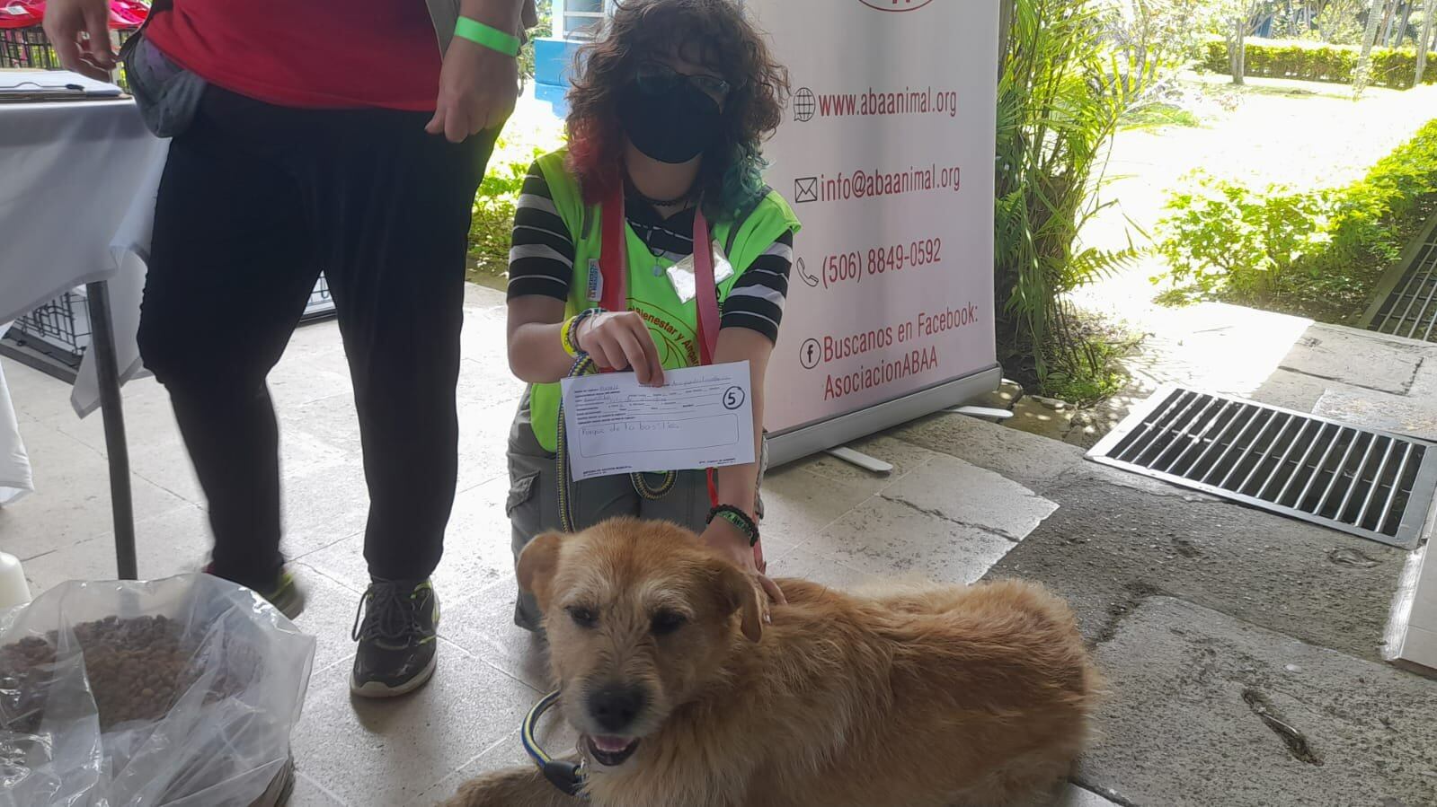 Hasta este medio día del 1 de agosto del 2022, la Asociación Para el bienestar y Amparo Animal, confirma que se han capturado cuatro perros a personas que los llevaban caminando en la romería hacia Cartago