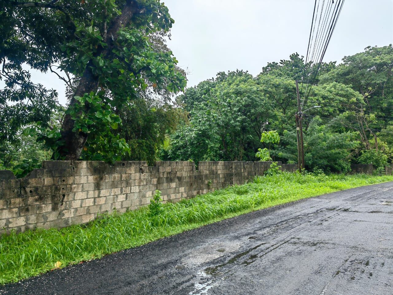 El Instituto Nacional de Seguros (INS), la está vendiendo. Este viernes 16 de mayo el INS confirma que pone a la venta 8 propiedades ubicadas en Coto Brus (San Vito y Pittier), Lepanto de Puntarenas, Coyolar de Orotina y Siquirres, en la provincia de Limón.