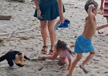 मुलीला जमिनीवर टाकून तिचा लहान भाऊ पळून गेला.