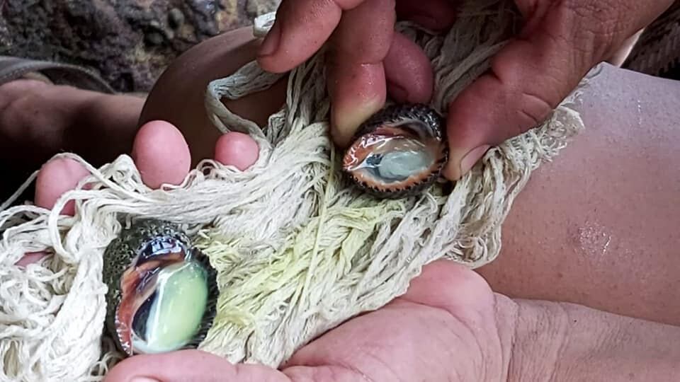 Higinia González Maroto, de 58 años, bordadora desde niña, fue la encargada de crear una estola sacerdotal completamente hecha a mano que llegó nada más y nada menos que a manos del papa Francisco