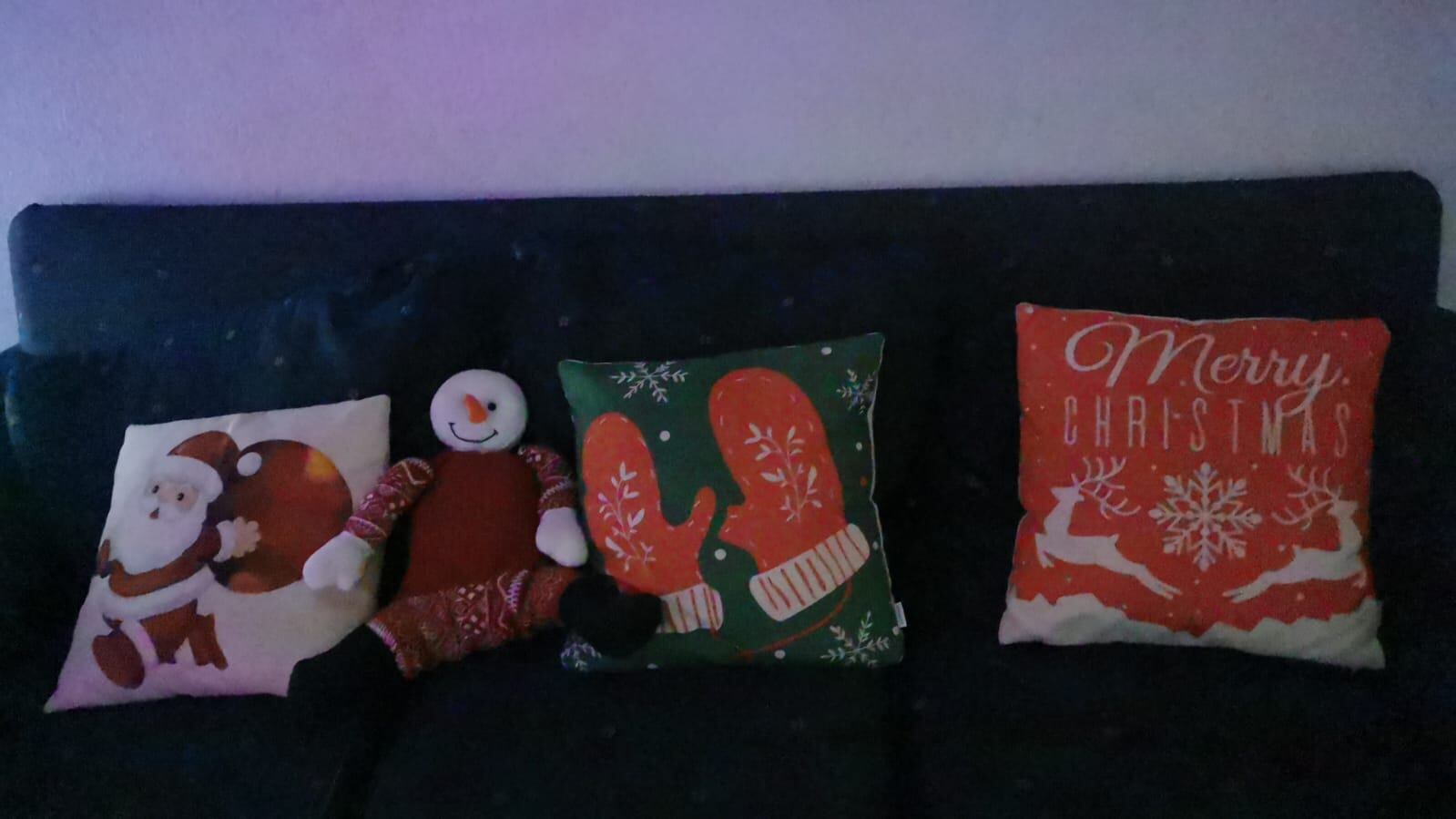 En Lagunilla de Heredia hay una casa que desde el pasado 16 de setiembre ya huele a navidad en todos sus rincones porque doña Laura Barrientos Brenes la adornó completamente