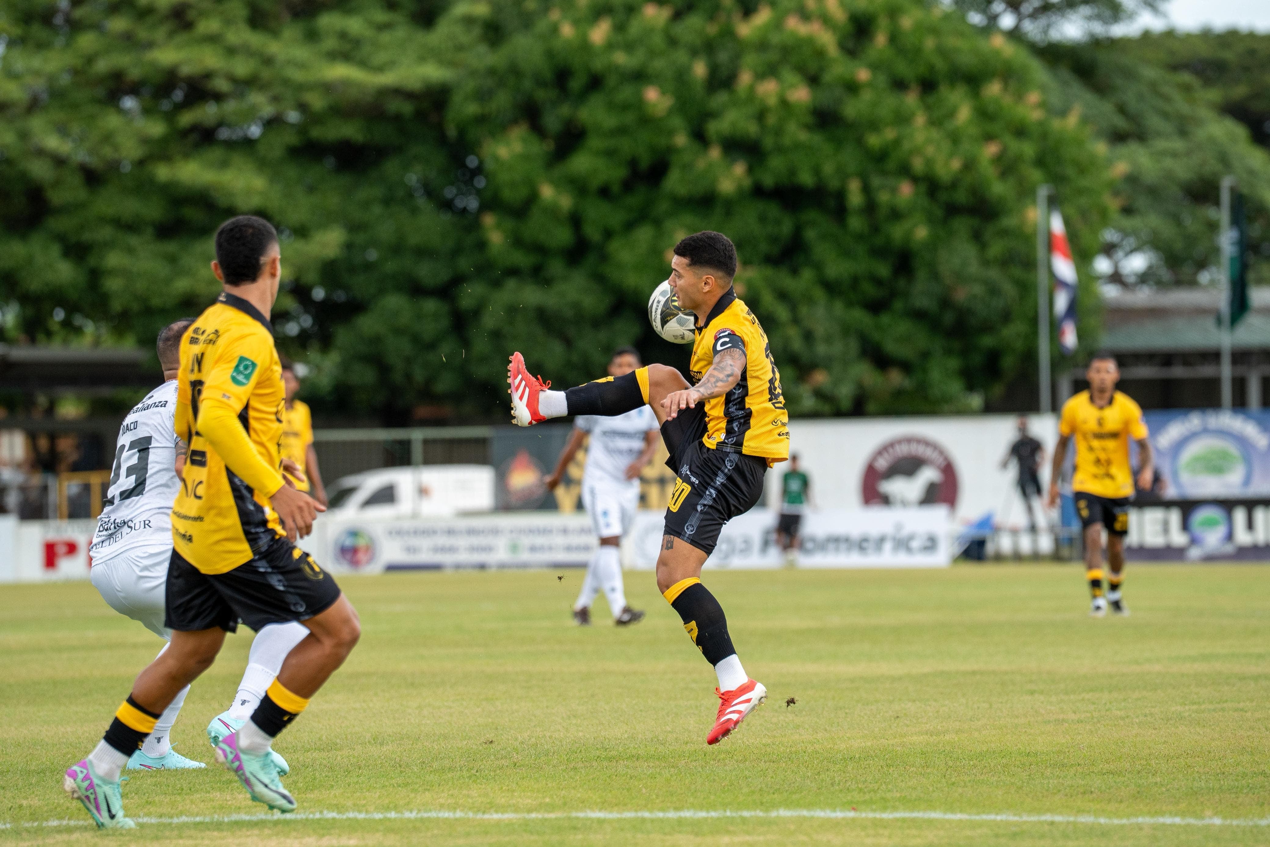 Municipal Liberia vs Pérez Zeledón. Prensa.